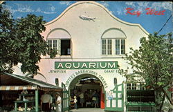 Key West Florida Postcard Postcard