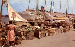 Nasau in the Bahamas Postcard