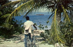 Shipwreck on the Reef Postcard