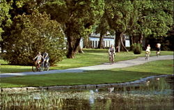 Bicyclists on park path in Ottawa Postcard