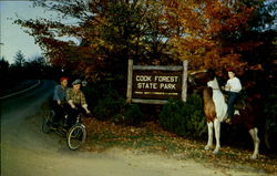 Cook Forest State Park Brookville, PA Postcard Postcard