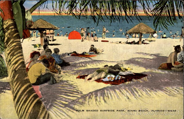 Palm shaded surfside park Miami Beach Florida