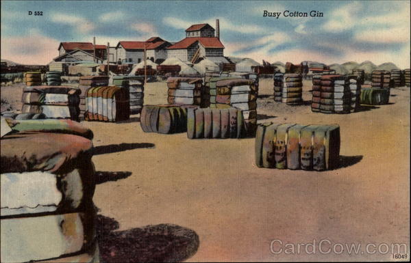 Busy Cotton Gin Farming