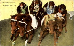 Monkeys on Ponies Postcard