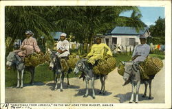 Greetings from Jamaica Postcard