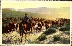 Roundup on the California Desert Postcard
