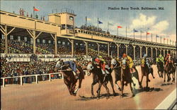 Pimlico Race Track, Baltimore, Md Maryland Postcard Postcard