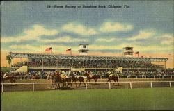 Horse Racing at Sunshine Park Oldsmar, FL Postcard Postcard