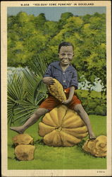 "Yes-suh! Some Punkins" in Dixieland Postcard