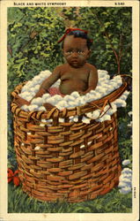 Black and White Symphony Postcard