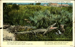 Alligator and Child in Palmetto Grove Postcard
