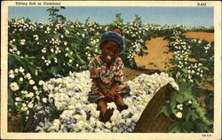 Sitting soft in Dixieland Postcard