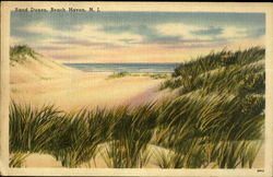 Sand Dunes Postcard