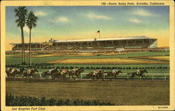 192 - Santa Anita Park, Arcadia, California Horse Racing Postcard Postcard