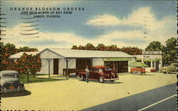 Orange Blossom Groves Largo, FL Postcard Postcard