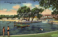 Beach and Pool Sulphur Springs, FL Postcard Postcard