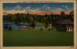 Scene at Oconee State Park Postcard