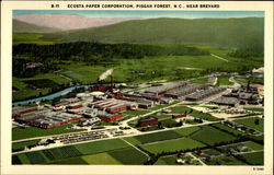 Ecusta Paper Corporation Postcard