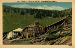 Camp Alice, on Mount Mitchell, Western North Carolina Postcard