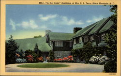 "In the Oaks," Residence of Mrs. F.S. Terry Black Mountain, NC Postcard Postcard