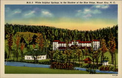 White Sulphur Springs, in the Shadow of the Blue Ridge Postcard