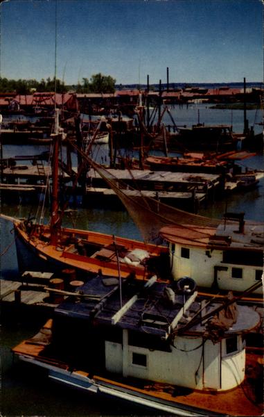 Looking Over Shrimp Fleet Boats, Ships