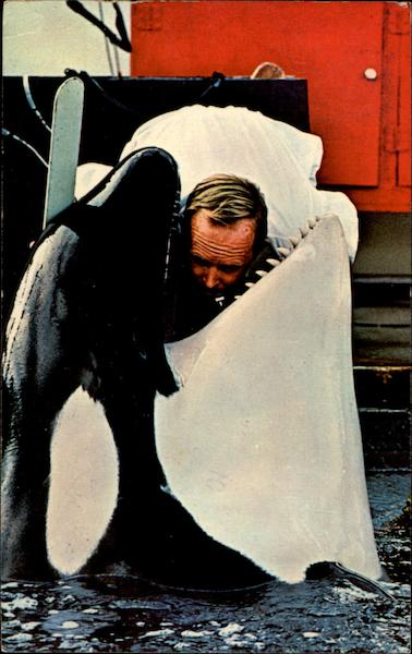 Sea World Mission Bay, San Diego California