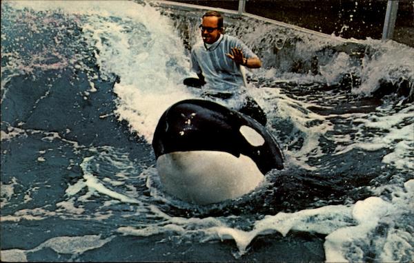 Sea World San Diego California