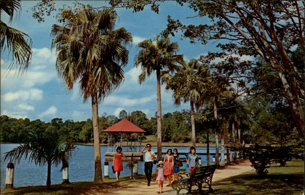 McRitchie Reservoir Singapore Southeast Asia
