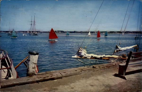 Rainbow fleet and schooner Yankee Nantucket Massachusetts