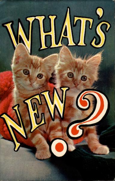 What's New? Cats