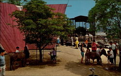 The Barnyard - Children's Zoo Postcard