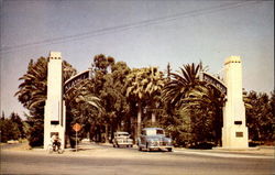 Entrance to Kearney Drive Postcard