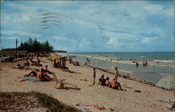 Lions Club Park Beach Postcard