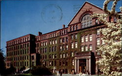 Harvard University Museum Postcard