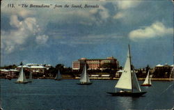 "The Bermudiana" Bahamas Caribbean Islands Postcard Postcard