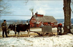 Harlow's Sugar House Putney, VT Postcard Postcard