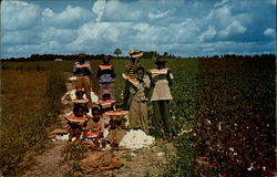 Time out for Watermelon down South Postcard