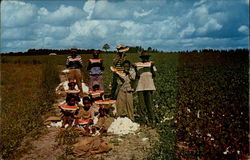 Time out for Watermelon down South Black Americana Postcard Postcard