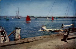 Rainbow fleet and schooner Yankee Postcard