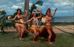 Tahitian dancers Postcard