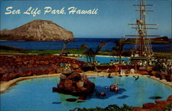 Sea Life Park, Hawaii Waimanalo, HI Postcard Postcard