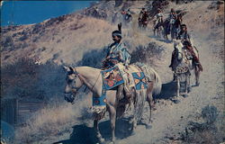 Indians On The Trail Native Americana Postcard Postcard