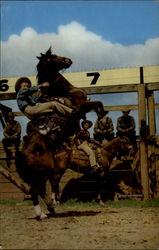 Pendleton Round-Up Postcard