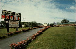 Cloverleaf Motel Postcard