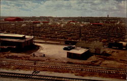 Stock Yards in "Cowtown" Postcard