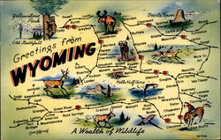 Greetings from Wyoming Postcard