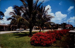 The Edisonian Court Fort Myers, FL Postcard Postcard