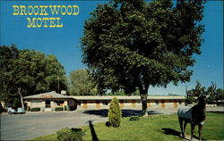 Brookwood Motel Lovelock, NV Postcard Postcard