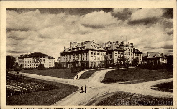 Agricultural College Cornell University Ithaca New York